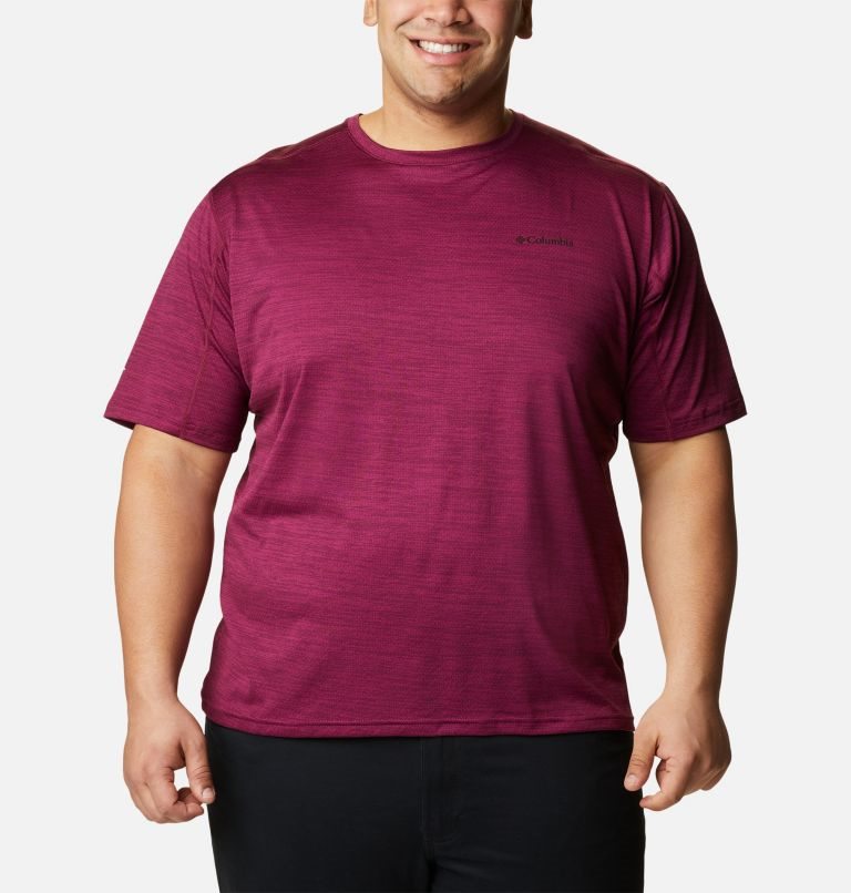 Men\'s Columbia Alpine Chill Zero Short Sleeve Crew T Shirts Fuchsia | Plus Size CA-LL3C6